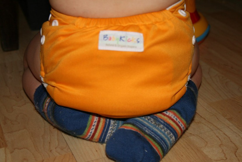 babykicks premium pocket