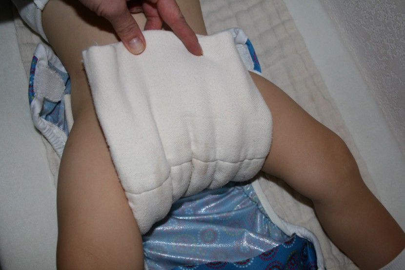 prefold shown here is folded in thirds to fit inside the cover.