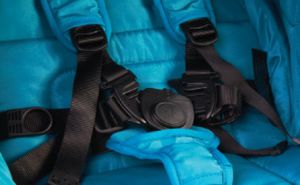 bumbleride indie - the five-point harness system is easy to operate and amply padded.