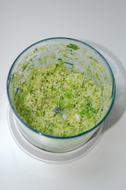 kidco electric food mill - kidco electric food mill with blended brussels sprouts. you will...