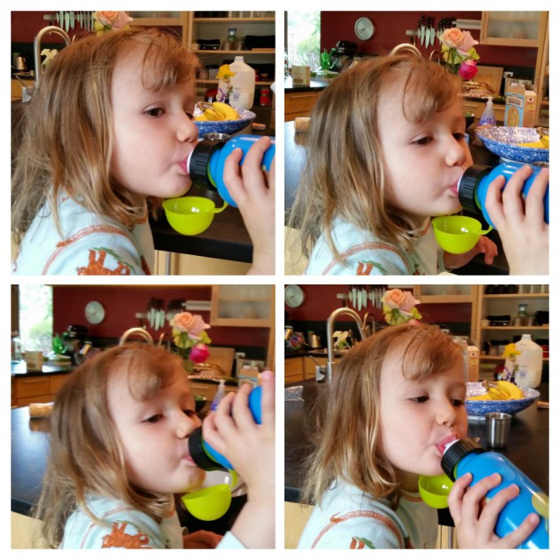 crocodile creek drinking bottle - this bottle was a popular choice with little testers