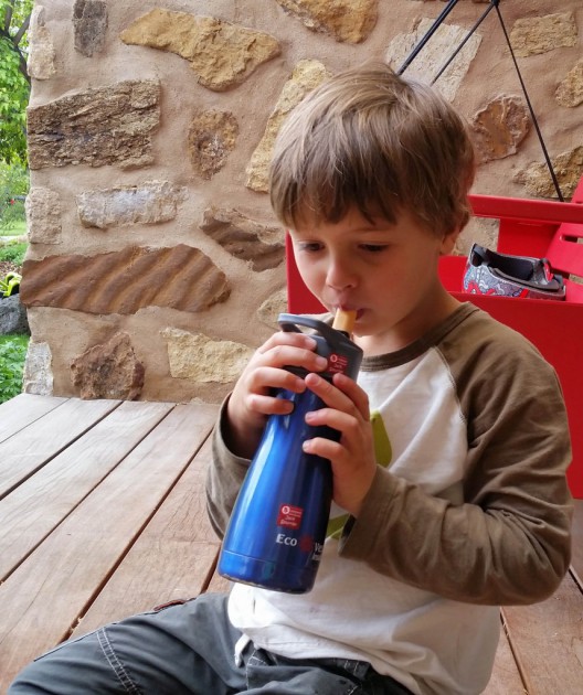 eco vessel frost - this bottle is easy to use and had a nice even flow rate...