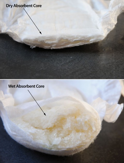 disposable diaper - this photo shows the same brand diaper (bambo), cut in half to...