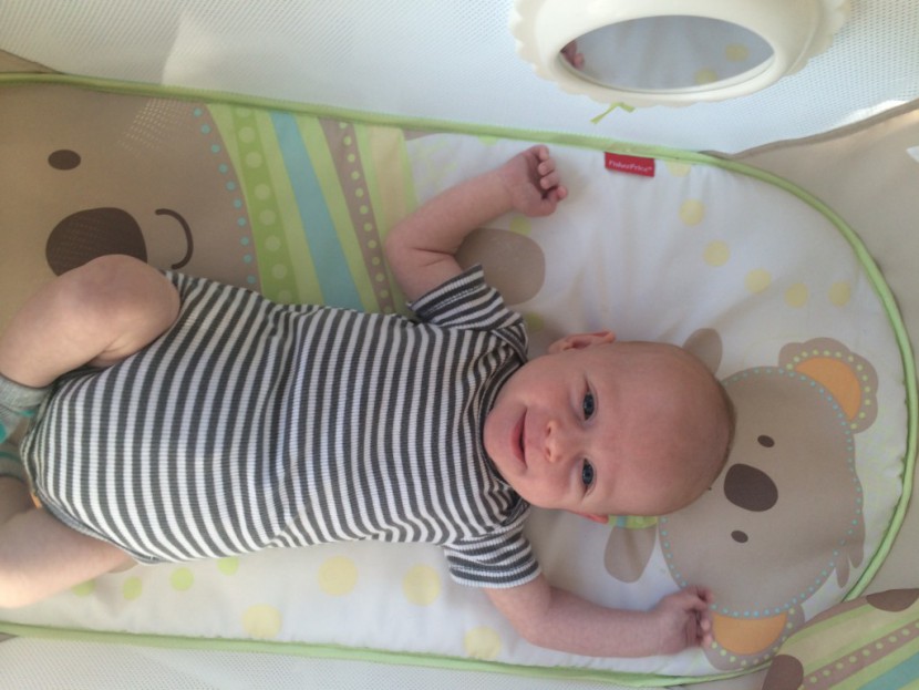 fisher-price deluxe rock 'n play portable - the fisher price deluxe is spacious and will provide a place for...