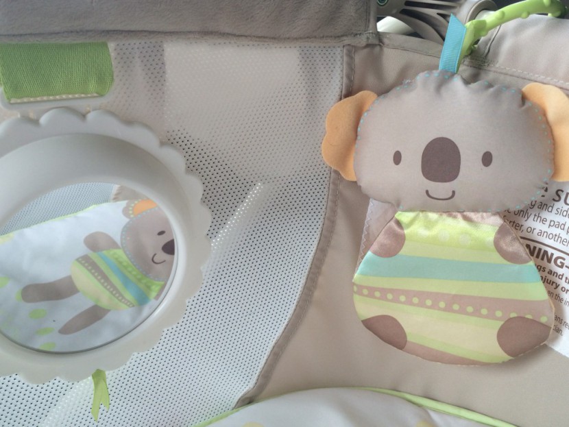 fisher-price deluxe rock 'n play portable - the rock 'n play includes both a mirror and a plush toy.  the mirror...