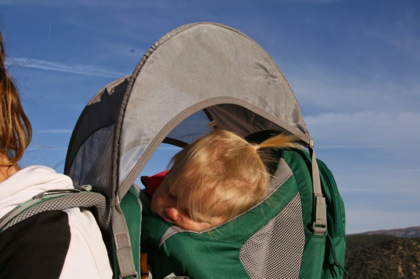 kelty journey 2.0 - once baby fell asleep in the kelty journey, her head rested against...
