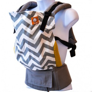Tula Ergonomic Baby Review
