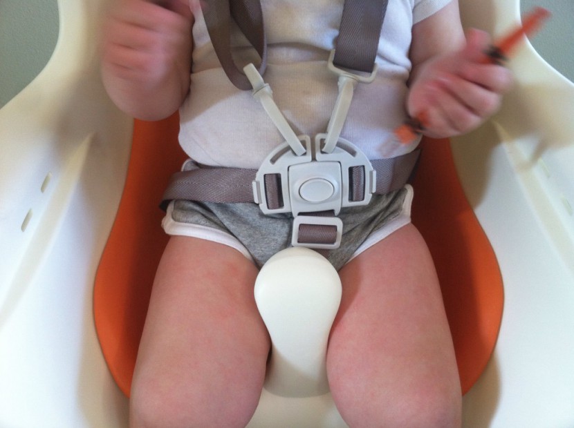 boon flair - the 5-point restraint system and super sturdy crotch restraint built...