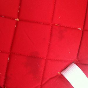 summer infant bentwood - after just one meal, the seat cushion of the summer infant bentwood...