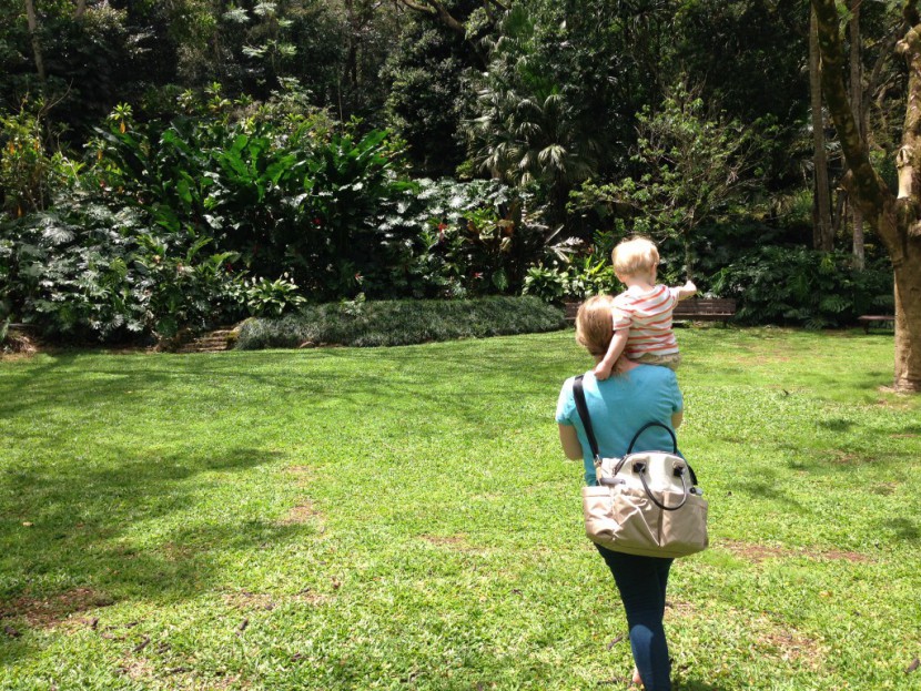 skip hop chelsea - the chelsea in action.