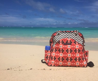 Petunia Pickle Bottom Sashay Satchel Review