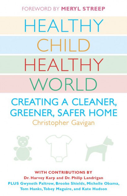 healthy child, healthy world by christopher gavigan