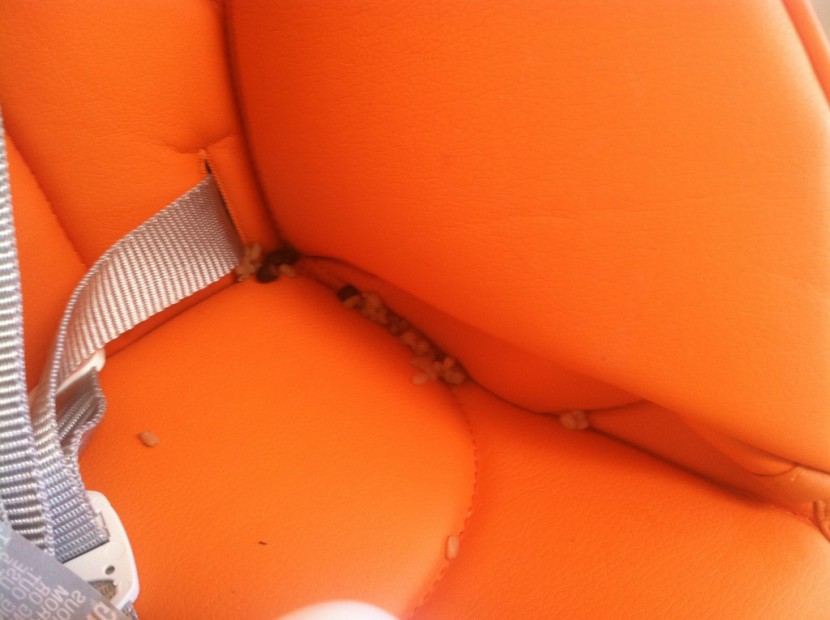 peg perego siesta - the peg&#039;s seat cushion is easy to wipe clean.