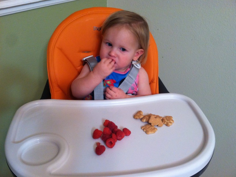 peg perego siesta - the peg is one of the easiest chairs to use, with a tray that helps...