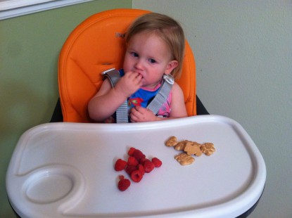 Product photo of Peg Perego Siesta