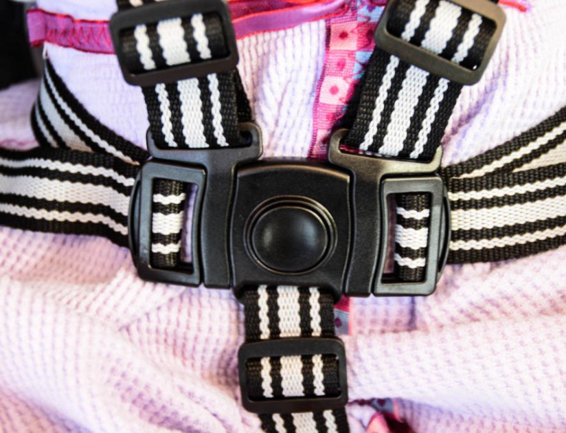 graco fastaction fold jogger - the 5 point harness can be adjusted to a 3 point and we had trouble...