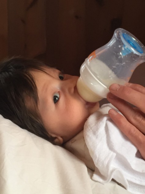 munchkin latch - 14 week, 14 pound boy drinking from a munchkin latch with level 1...