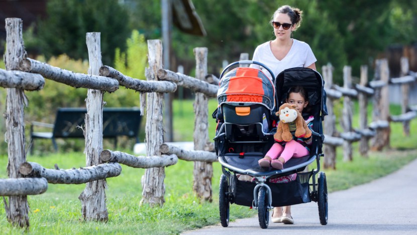 double stroller - the bob revolution flex duallie is a great all-terrain stroller with...