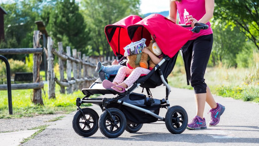 mountain buggy duet - the duet is a nice looking stroller with well crafted components.