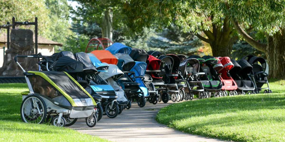 Best Double Stroller Review (We've purchased and tested more than 185 strollers, including more than 40 double strollers, in our effort to compare...)