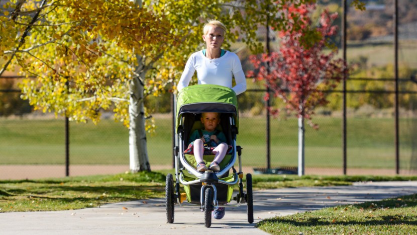 burley solstice - the burley solstice earned a higher than average score for...