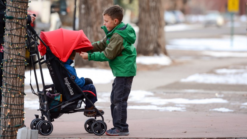 inglesina net - the inglesina net has a relatively impressive quality score...