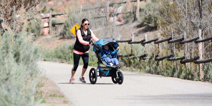 bob revolution flex 2.0 - the bob revolution flex is very easy to run with adjustable...