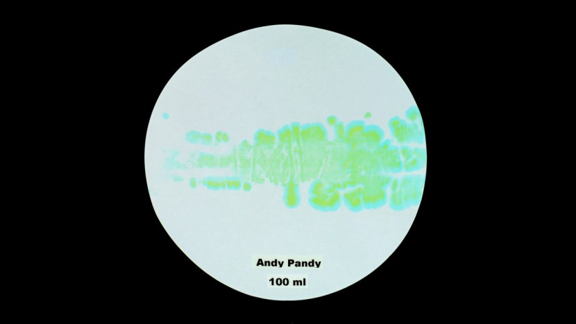 andy pandy - the overall score the andy pandy was hurt by its inability to truly...