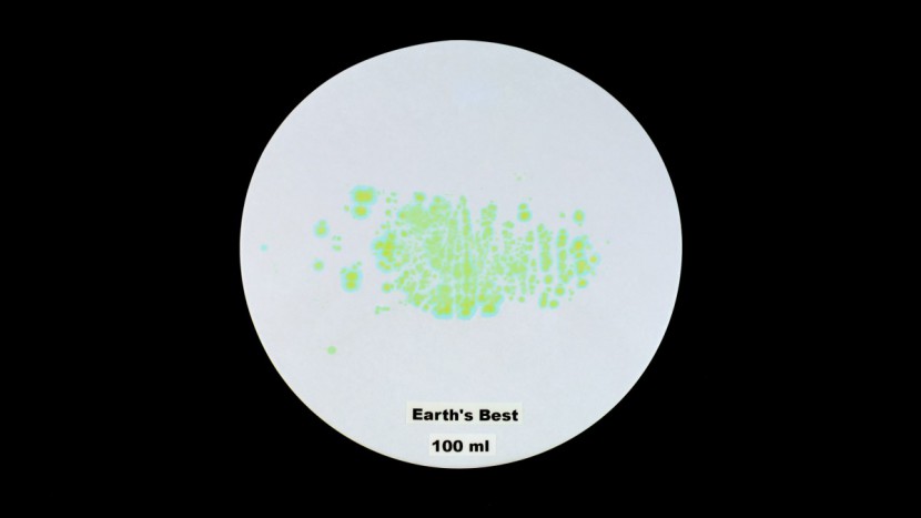 best disposable diaper - while the earth&#039;s best diaper did have moisture transfer to the test...