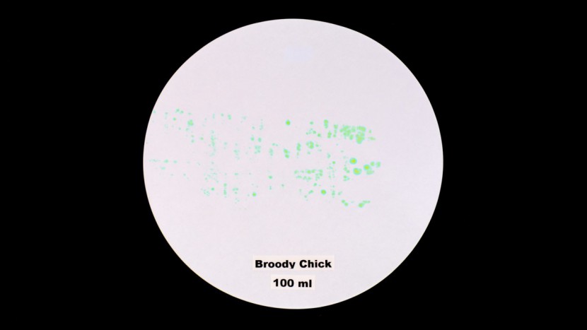 broody chick - very little moisture transfer on paper means broody chick diapers...