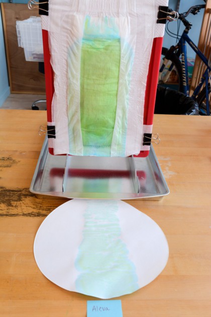 aleva naturals - in our leak test, the aleva did not leak any mock urine into the...