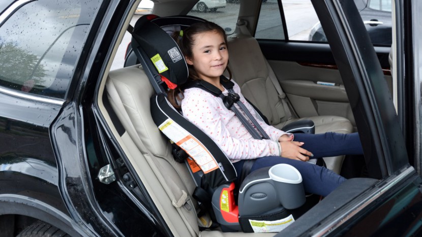 booster seat - some boosters, like the graco nautilus 65 lx (now discontinued)...