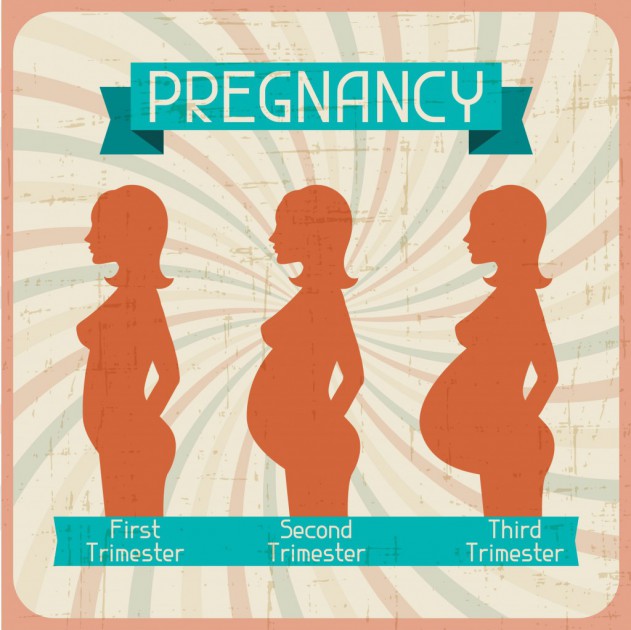 10 first trimester must haves for moms to survive and get through it