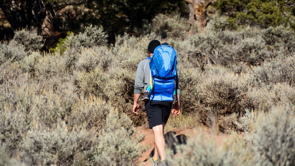 baby backpack - purchasing a baby backpack means you and your little one can head...