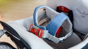 The Osprey harness is super cool with padding and an adjustable...