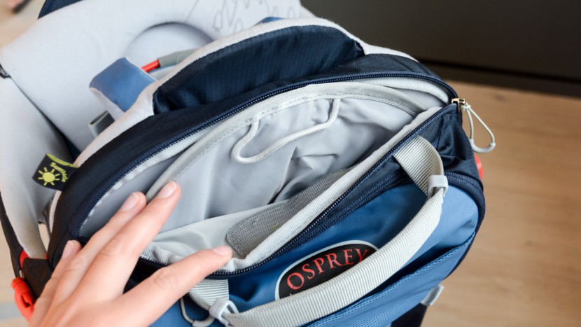 Osprey Poco AG Plus Child Carrier | REI Co-op