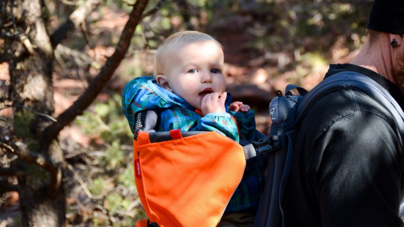 phil and teds parade - the parade cockpit is large and leaves too much space for baby to...