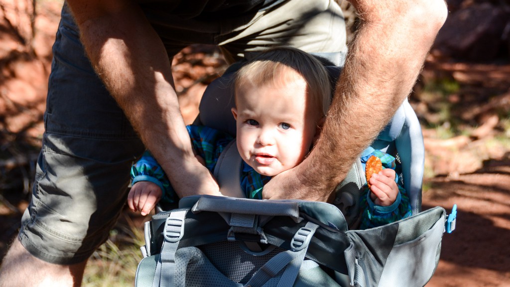 baby backpack - the thule is easy to use including adjustments to the seat height.