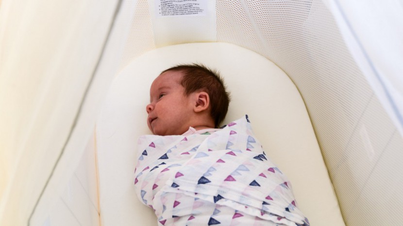babybjorn cradle - the cradle earned a decent eco-health score, but the mdf board under...