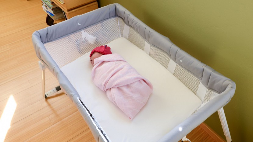 lotus bassinet - the lotus is made using materials that are more natural or limit...