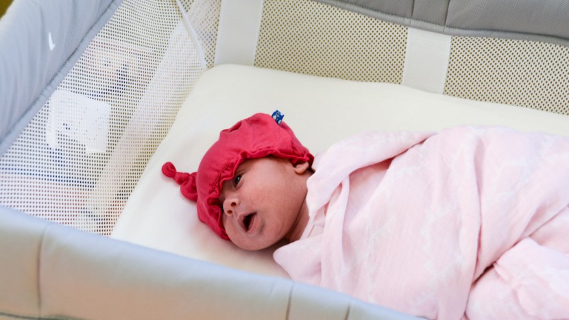 bassinet - the lotus has mesh material sides for breathability.