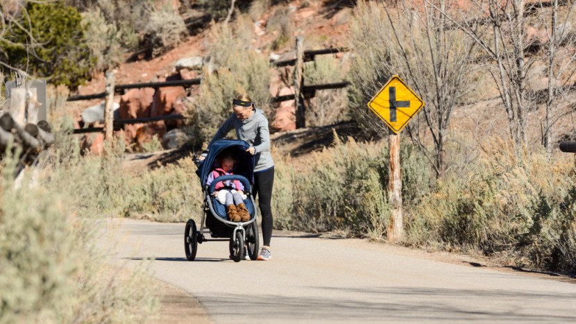 bumbleride speed - the speed is easy enough to use with a giant canopy that covers to...