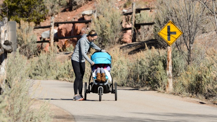 thule urban glide 2 - the urban glide 2 has a highly adjustable canopy that can rotate...