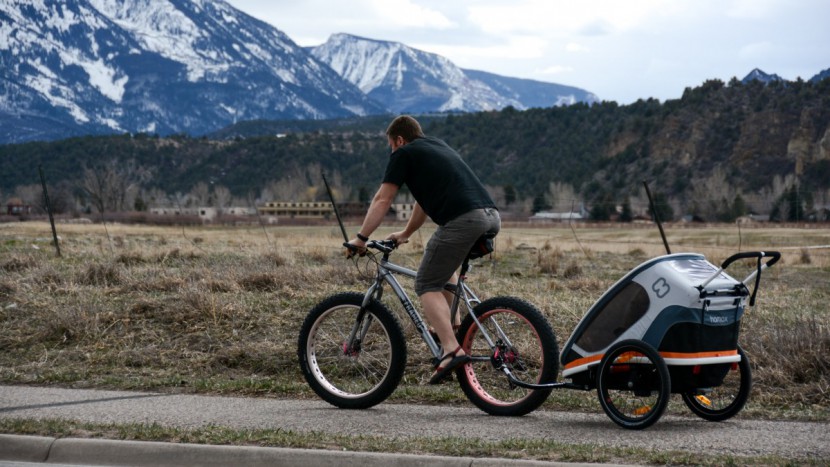 stroller - bike trailers, like the hamax outback, can often seat two and be...