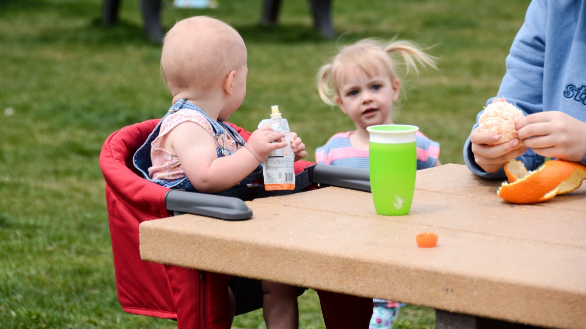 Inglesina Fast Table Review (Hook-on chairs sit baby right up with the rest of the family, giving them a better sense of belonging and providing...)