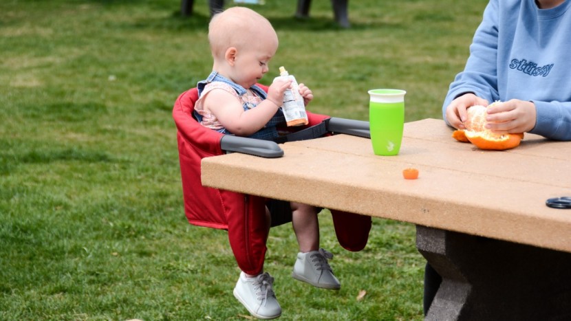 inglesina fast table - always make sure to follow manufacturer guidelines when using...