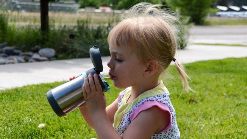 thermos foogo - the thermos foogo is an insulated steel cup with a silicone straw...