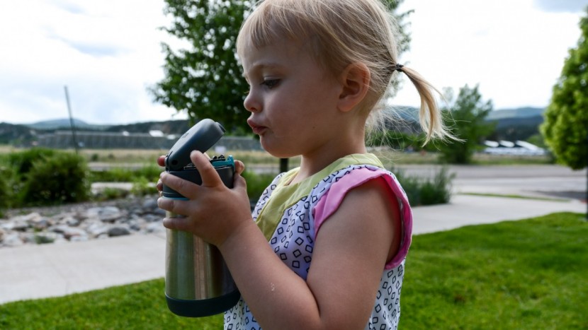 thermos foogo - the thermos foogo is a cool leak-free sippy that can be used for...