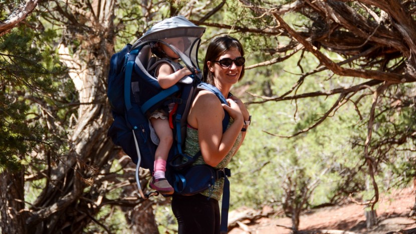 kelty journey perfectfit elite - the elite is one of the more comfortable options to carry, though...