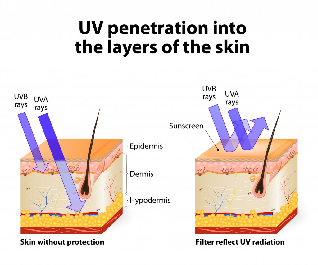 sunscreen - uva radiation penetrates deeper into the skin than uvb radiation.